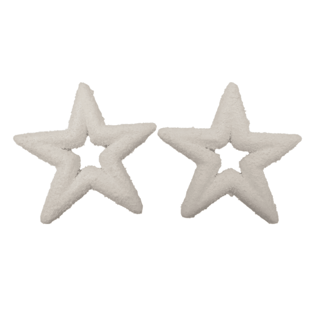 Στολιδι Αστερι Λευκο 2Τμχ