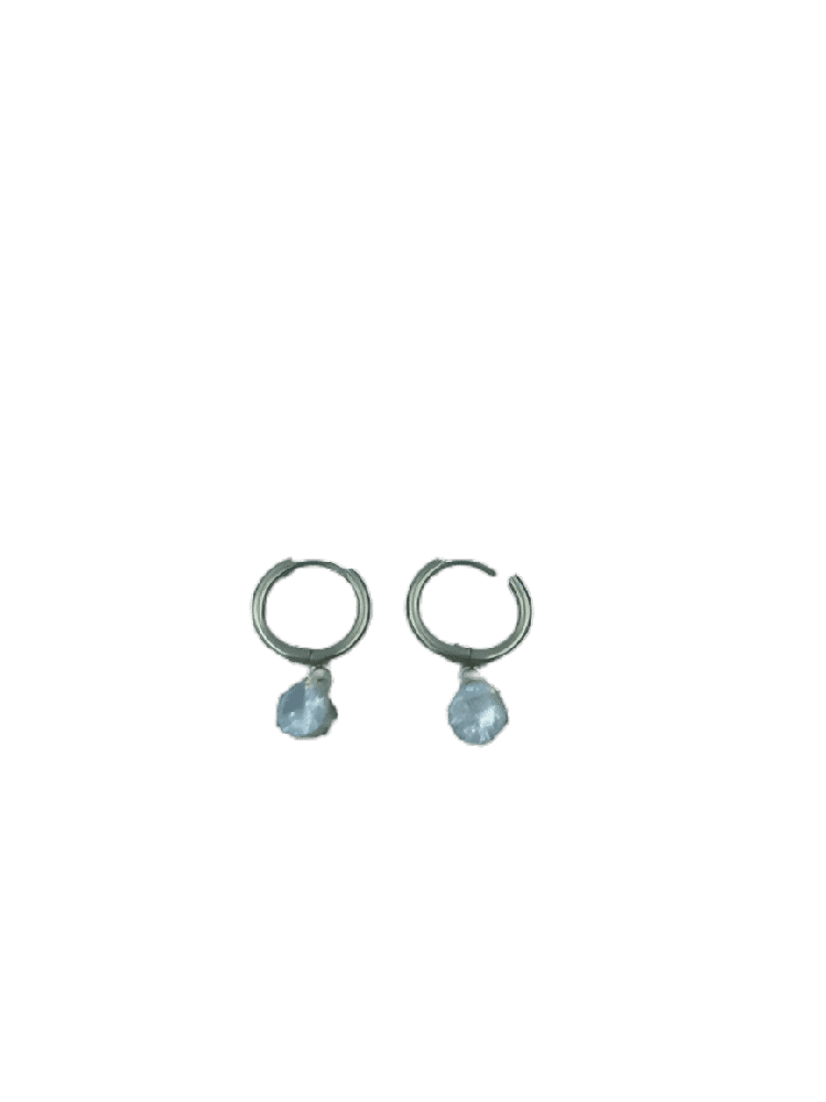 papell.grΣκουλαρικια Stainless Steel Κρικος Με Σχεδιo Στεμα Με Διαμαντι Φ2,5 Εκ Ασημιpapell.gr