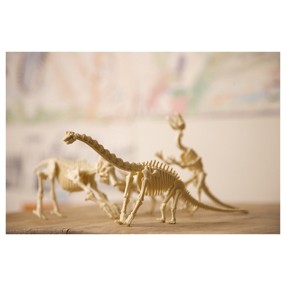 4Μ Ανασκαφή Σκελετού Βραχιόσαυρου