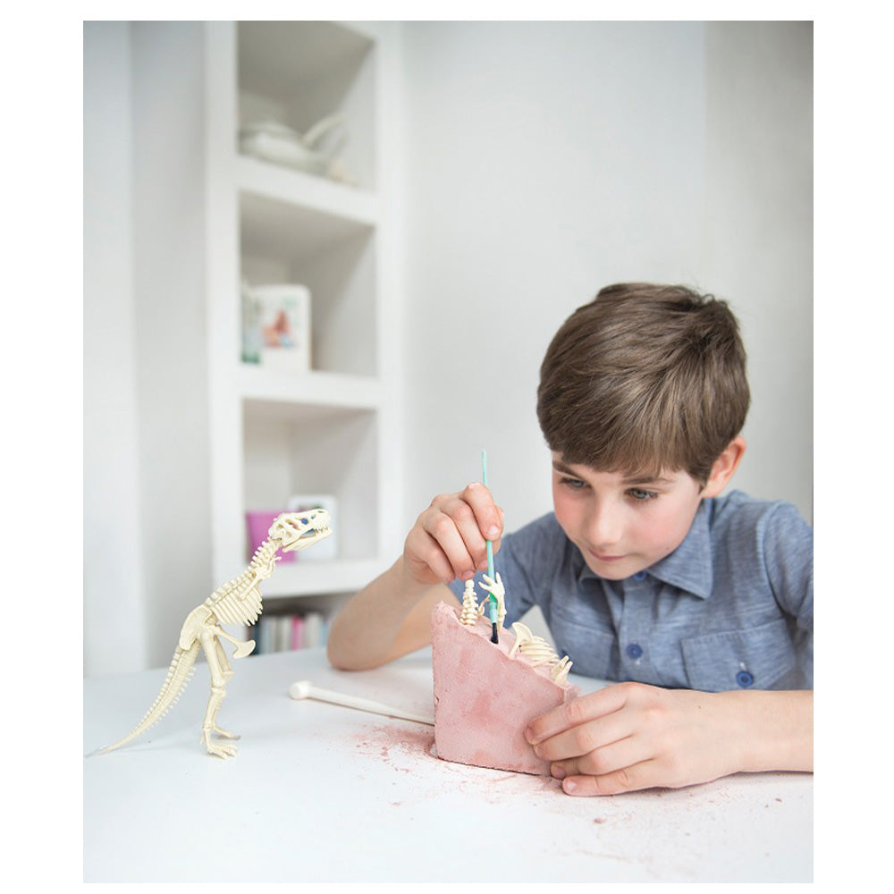 4Μ Ανασκαφή Σκελετού Βραχιόσαυρου