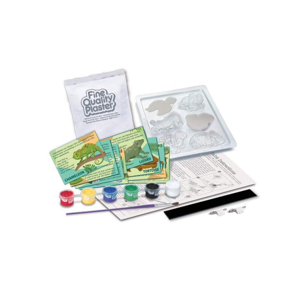 4M Κατασκευή Ερπετά Και Αμφίβια Μαγνητάκια/Καρφίτσες