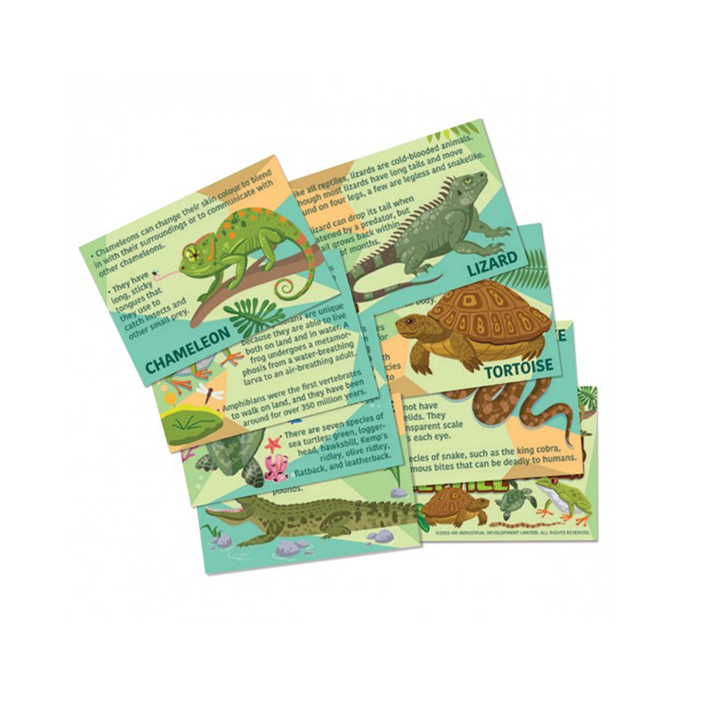 4M Κατασκευή Ερπετά Και Αμφίβια Μαγνητάκια/Καρφίτσες