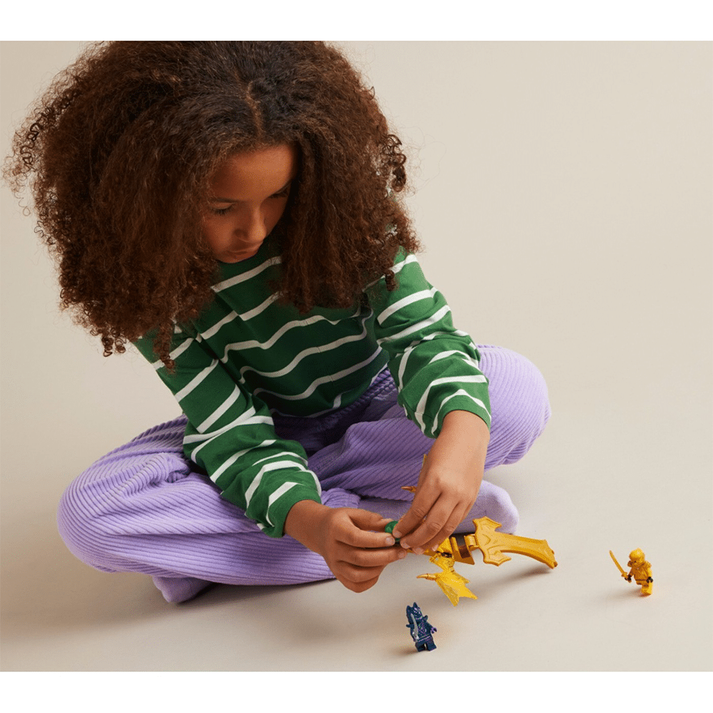 71803 Lego Ninjago Arin'S Rising Dragon Strike