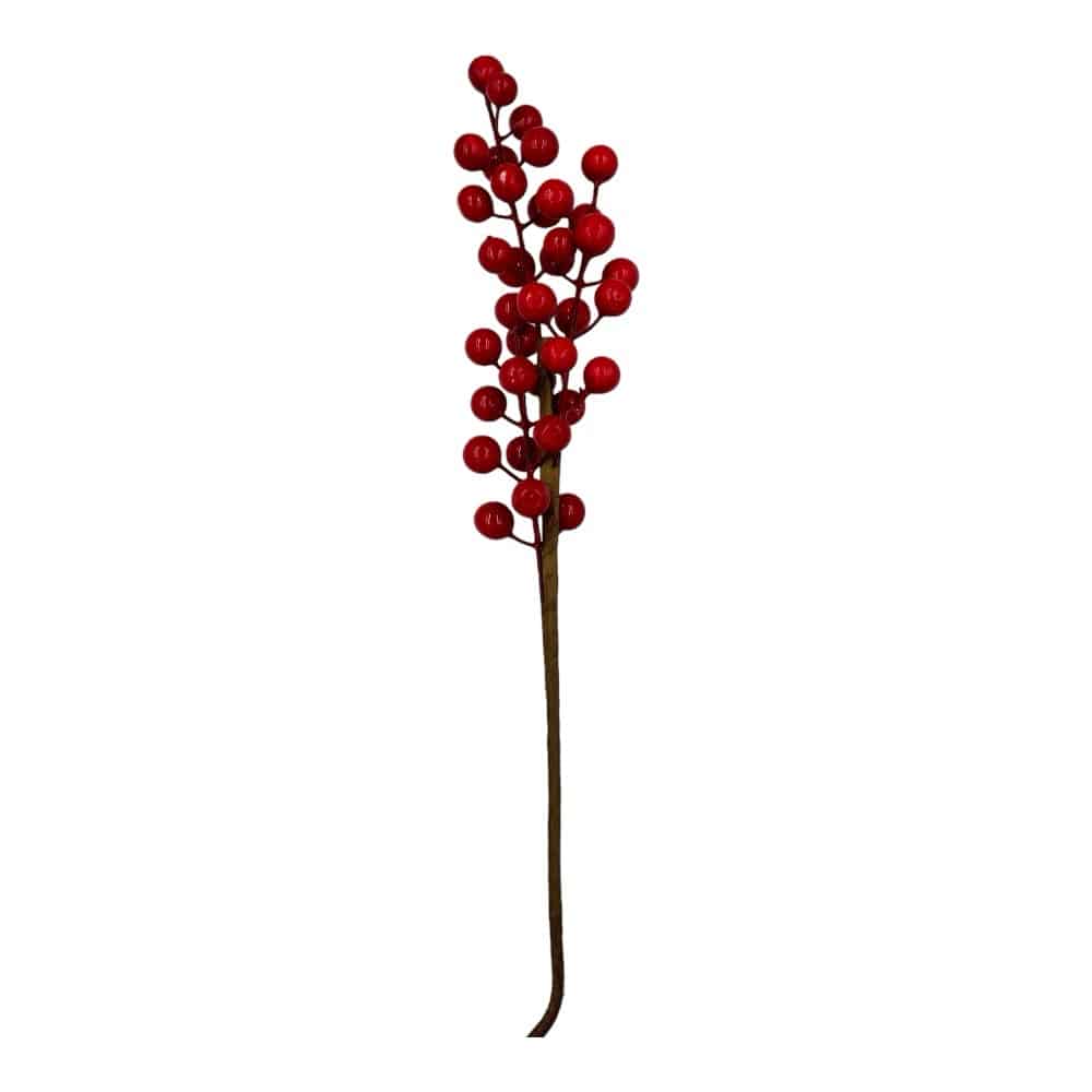 Κλαδι Berries Κοκκινο 48 Ek