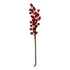 Κλαδι Berries Κοκκινο 48 Ek