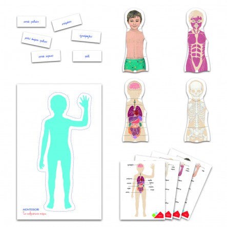 CLEMENTONIMontessori Το Ανθρωπινο Σωμαpapell.gr