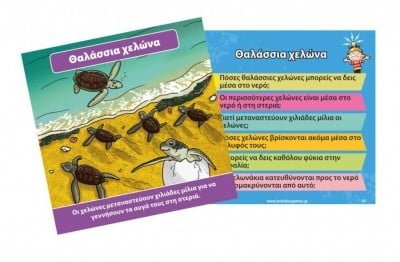 Brainbox Θαλασσιος Κοσμος Επιτραπεζιο Παιχνιδι