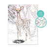 Paint & Frame Ζωγραφίζω Με Αριθμούς Snow Deer