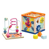 Top Bright Garden 5 In 1 Activity Cube