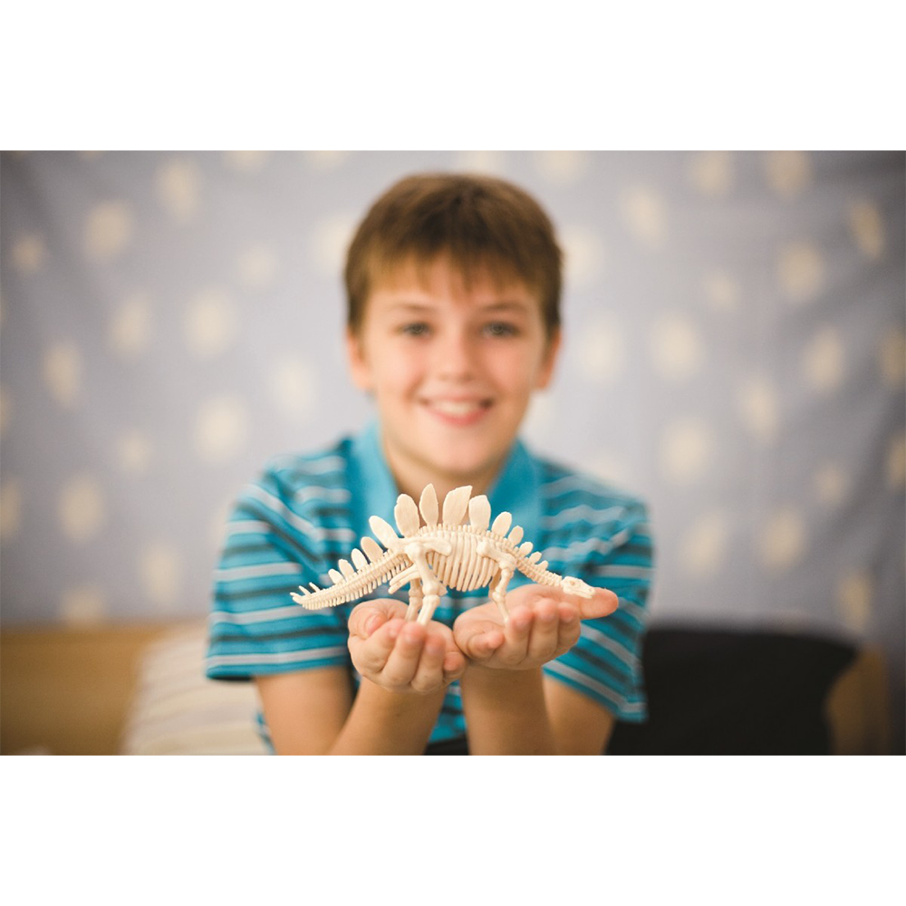 4Μ Ανασκαφή Βελοσιράπτορας