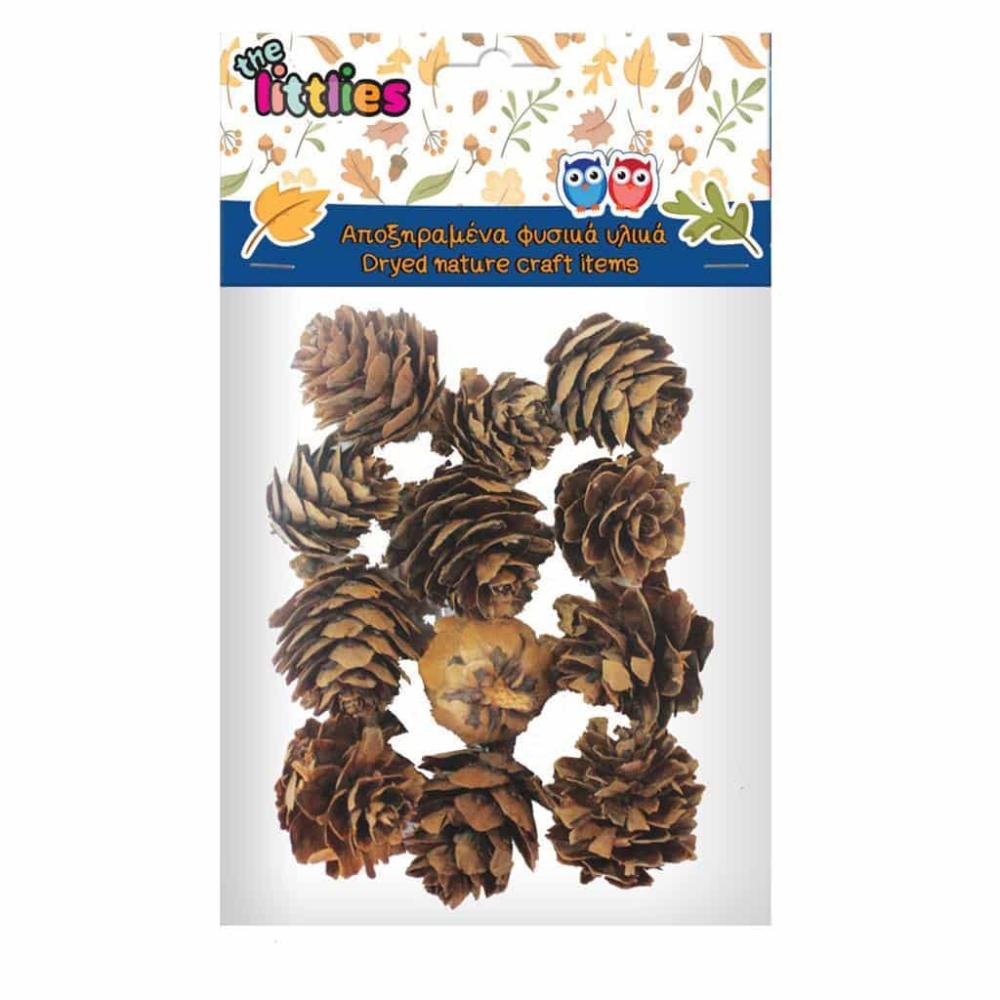 THE LITTLIESΑποξηραμένα Κουκουνάρια Χειροτεχνίας 12Τμχ. The Littliespapell.gr