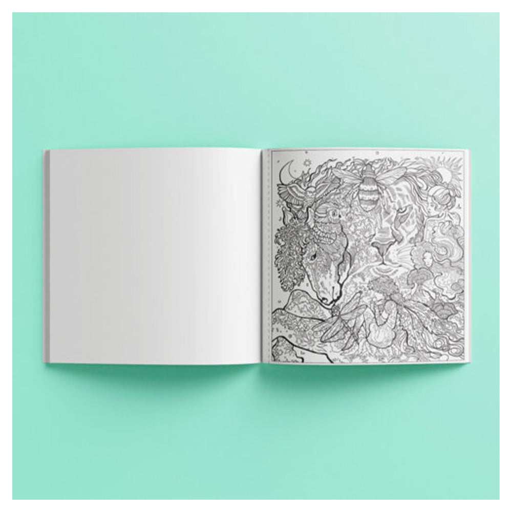 HINKLERArt Maker Colourmorphic Colouring Book: Nature Dreamspapell.gr