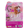 Mattel Barbie Dream Besties Renee
