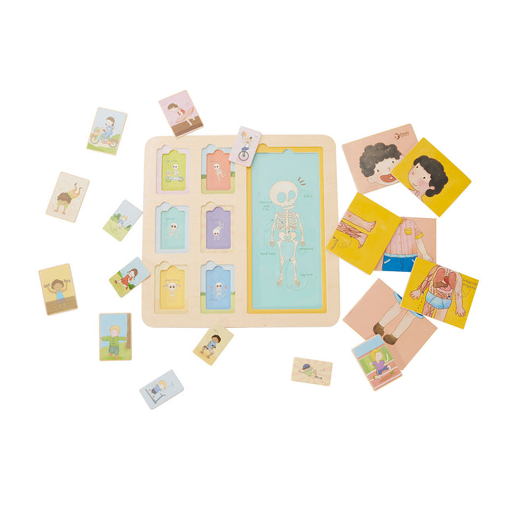 Classic World Παζλ Με Σφηνώματα- Το Ανθρώπινο Σώμα CL40031