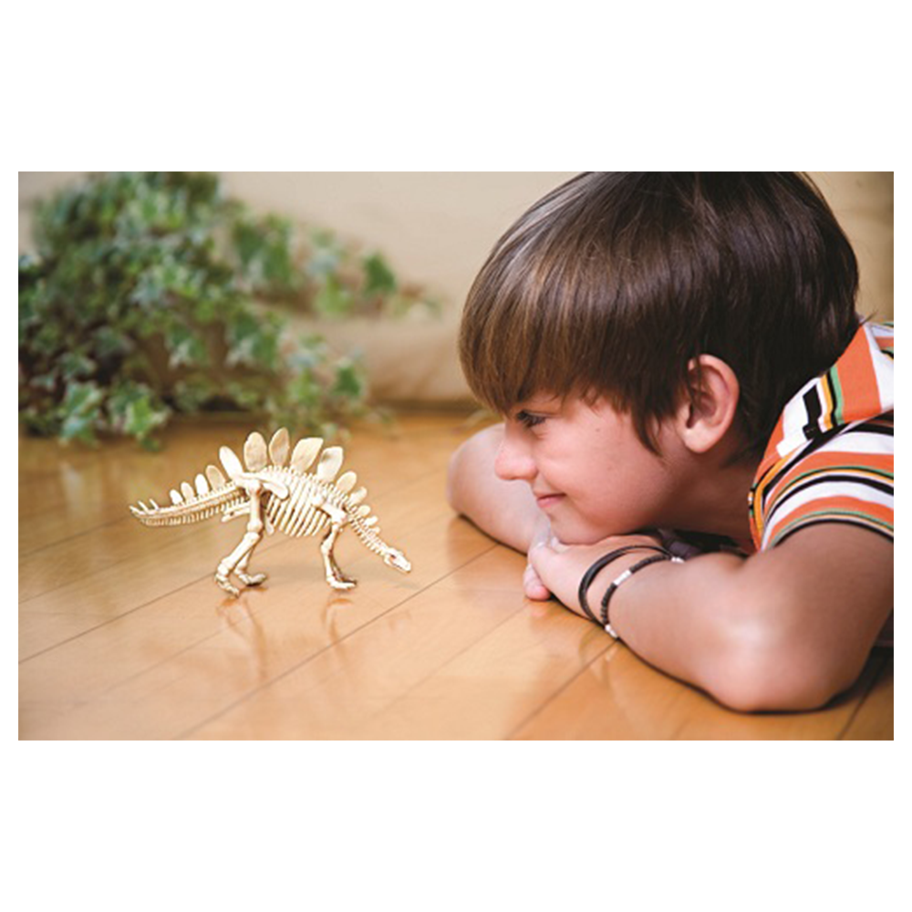 4Μ Ανασκαφή Σκελετού Δεινοσαύρου Στεγόσαυρος