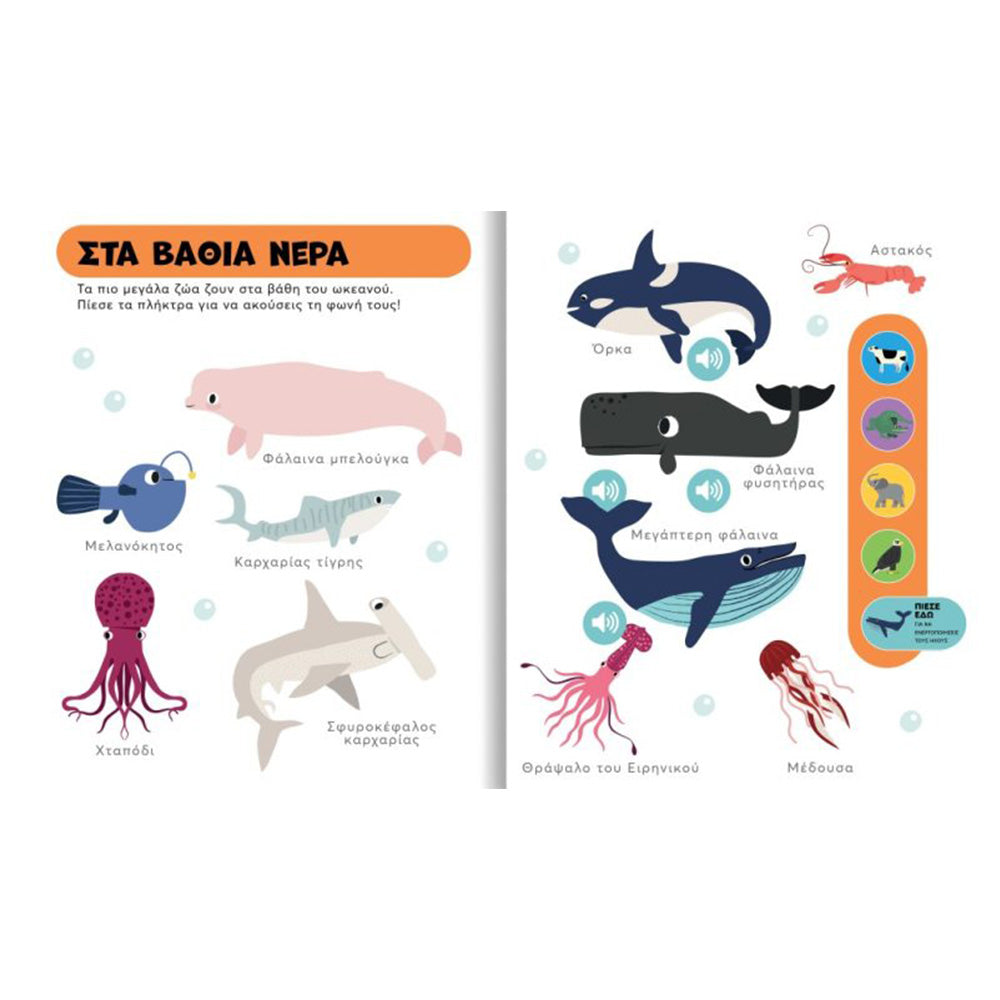 Desyllas GamesDesyllas Τα Πρώτα Μου Ζωάκια Με Ήχουςpapell.gr