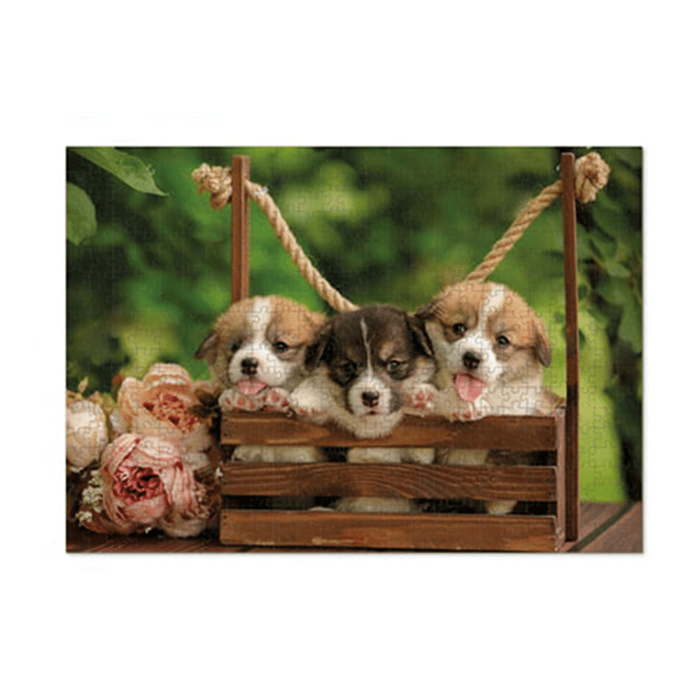 DODODodo Puzzle Welsh Corgi Puppies – Κουτάβια Κόργκι 500 Τμχpapell.gr