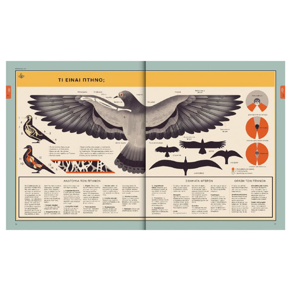 Desyllas GamesDesyllas Φυσικός Κόσμοςpapell.gr