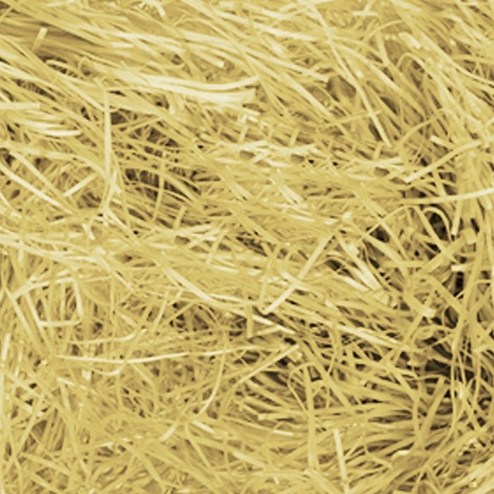 PapellΧορτο Διακοσμητικοpapell.gr