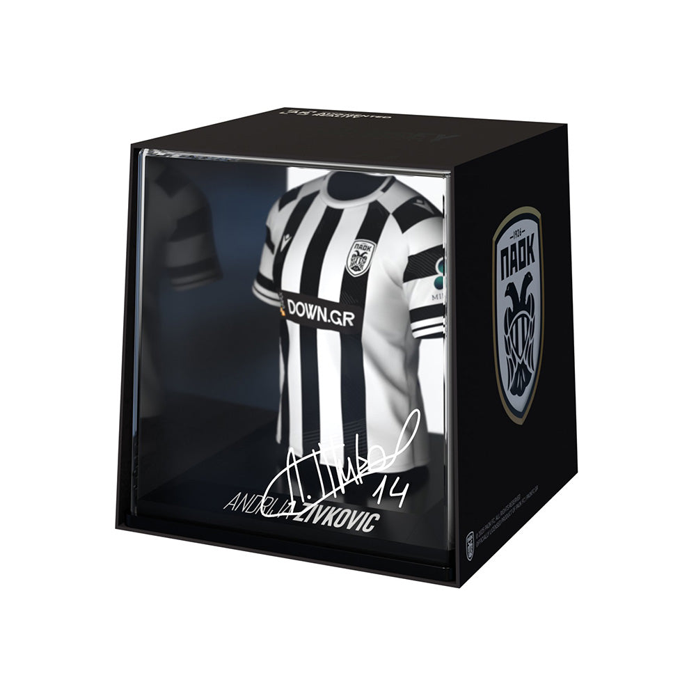 Fancollex: My Jersey Paok Home 25/26 Andrija Zivkovic