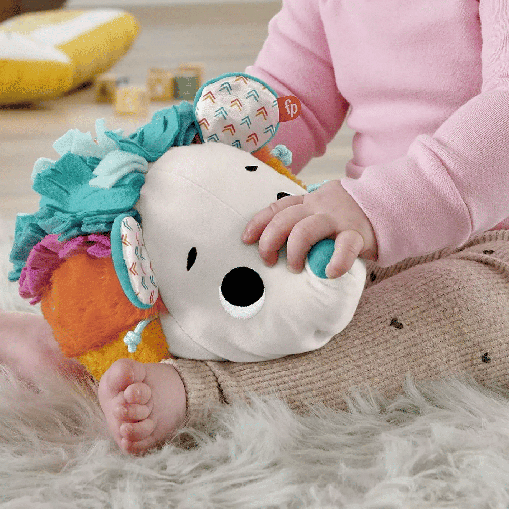 Fisher Price Μαλακο Σκαντζοχοιρακι Ουρανιο Τοξο