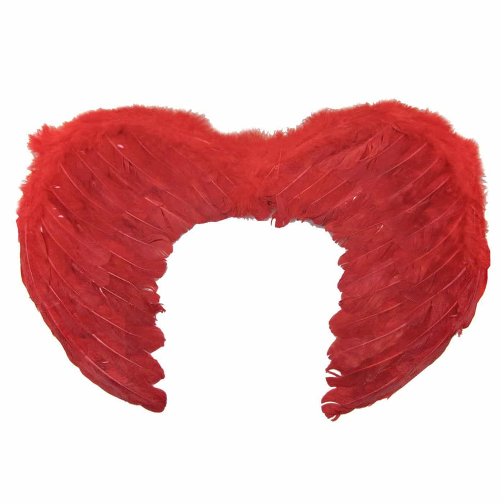 Φτερα Διαβολου 46X33Cm