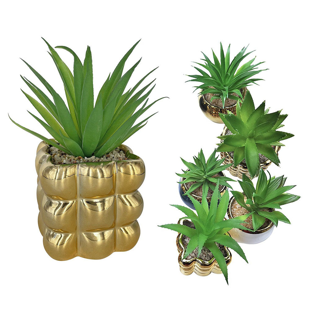 HomieΓλάστρα Πορσελάνης Τετράγωνη Χρυσή με Φυτό 14x7,5Εκpapell.gr