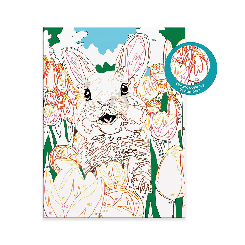 AS CompanyAS Happi Hobbi Paint & Frame Paint by Numbers Cheerful Bunny Για Ηλικίες 8+ Χρονώνpapell.gr