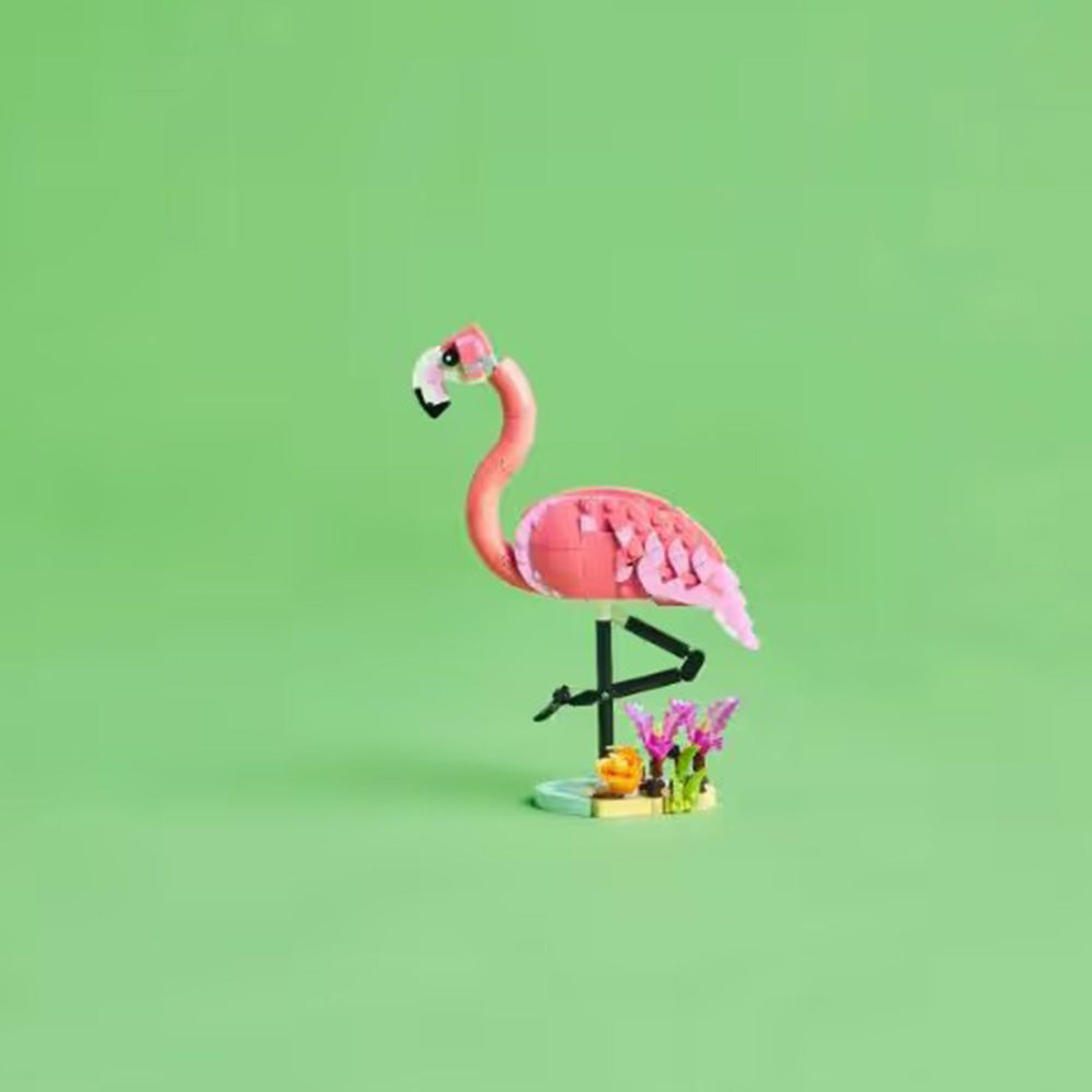 Lego31170 Lego Creator Wild Animals: Pink Flamingopapell.gr