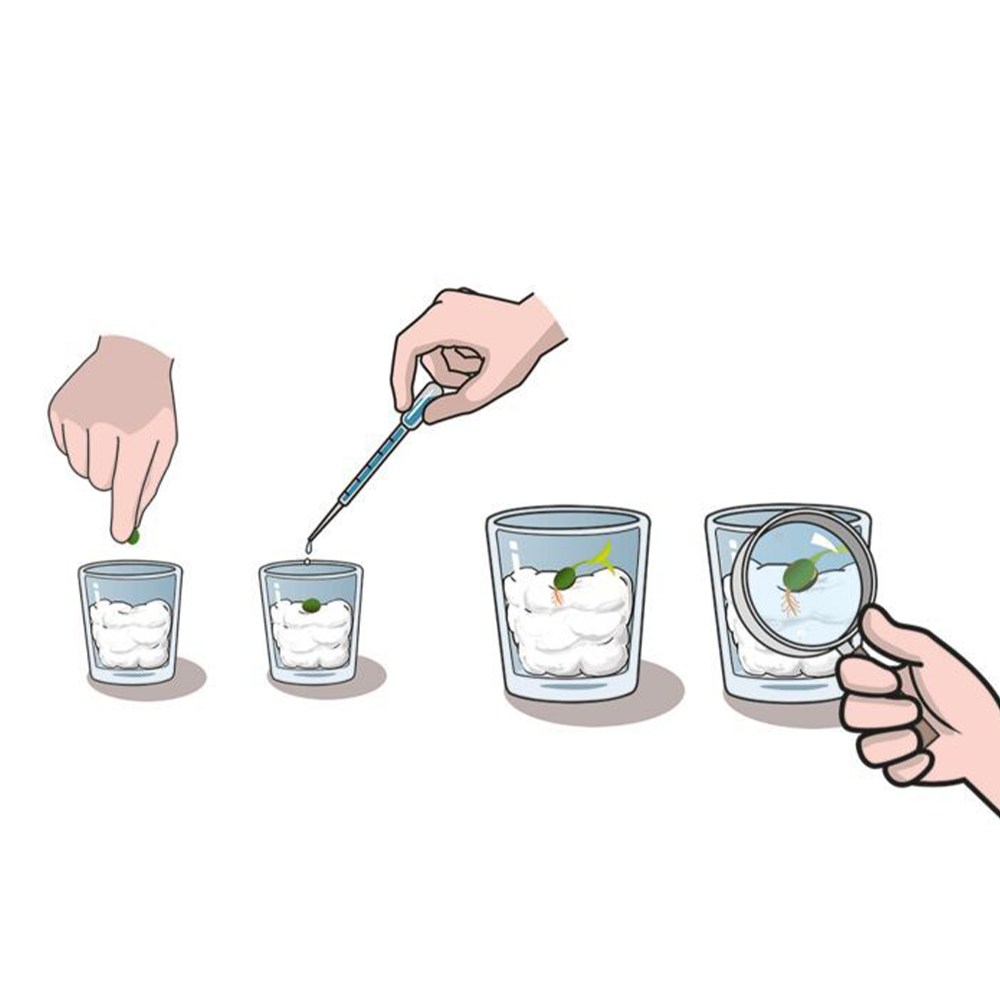 Μαθαίνω Και Δημιουργώ Lab Εκπαιδευτικό Παιχνίδι Ο Κήπος Μου