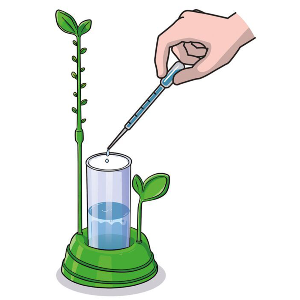 Μαθαίνω Και Δημιουργώ Lab Εκπαιδευτικό Παιχνίδι Ο Κήπος Μου