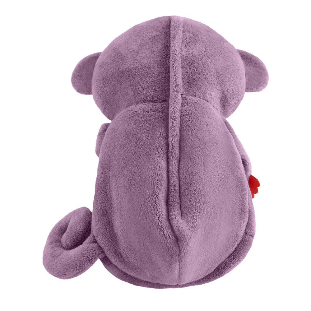 Fisher Price Μαιμουδάκι Αγκαλιάς με Κίνηση Αναπνοής & Μουσική