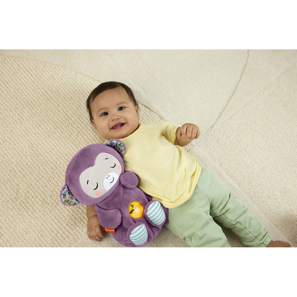 Fisher Price Μαιμουδάκι Αγκαλιάς με Κίνηση Αναπνοής & Μουσική