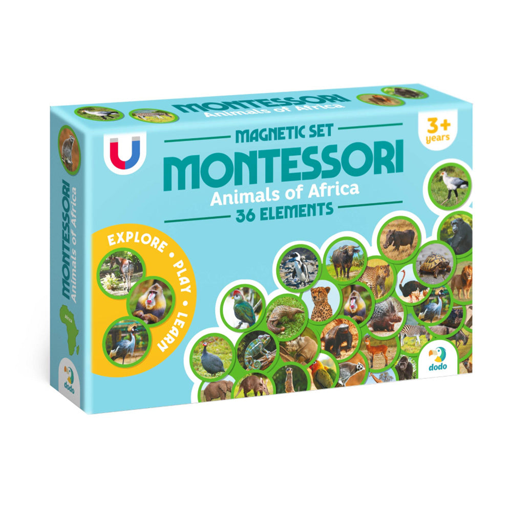 Montessori Magnetic Set Ζώα της Αφρικής 36 Τεμ