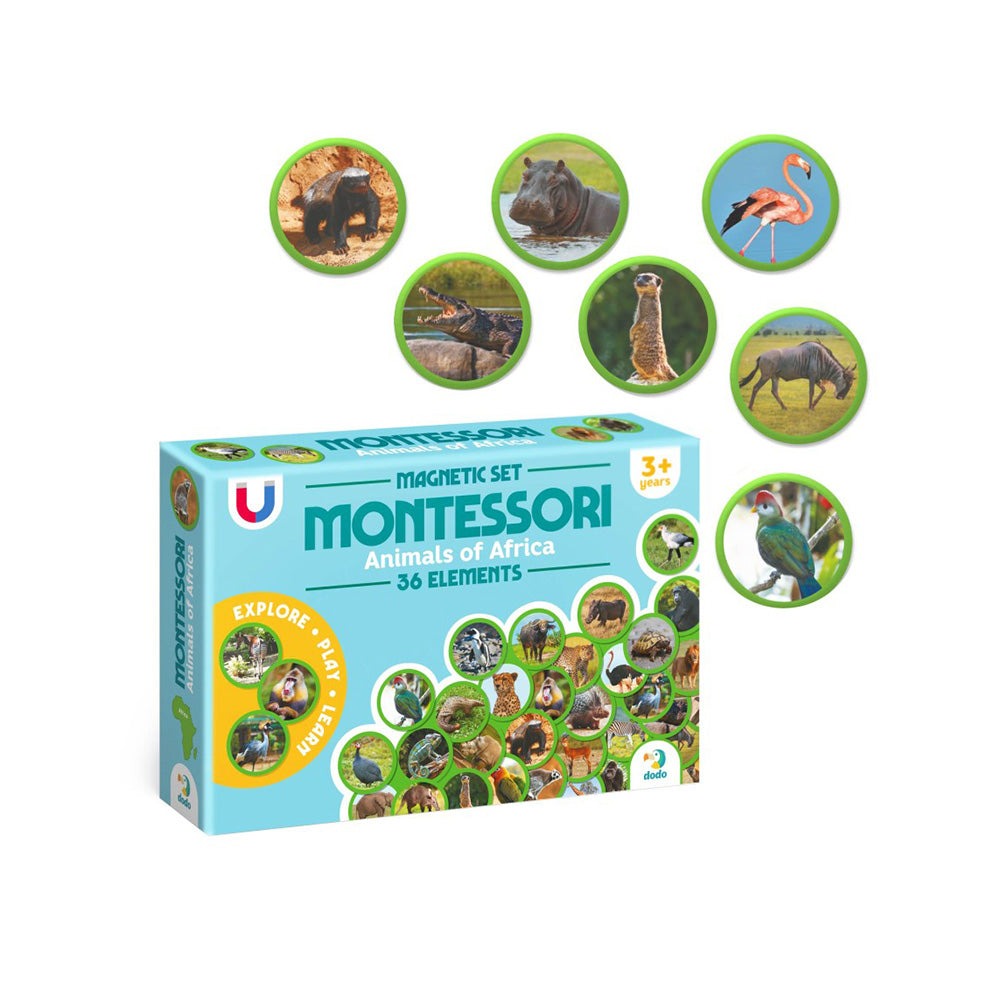 Montessori Magnetic Set Ζώα της Αφρικής 36 Τεμ