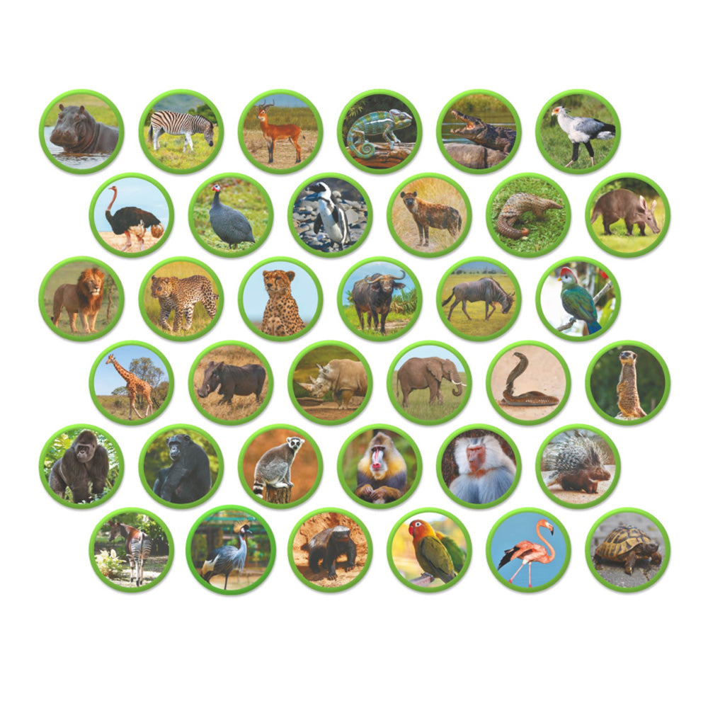 Montessori Magnetic Set Ζώα της Αφρικής 36 Τεμ