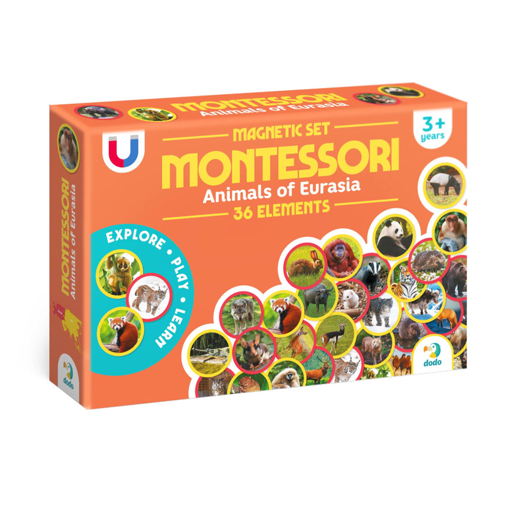 Montessori Magnetic Set Ζώα της Ευρασίας 36 Τεμ