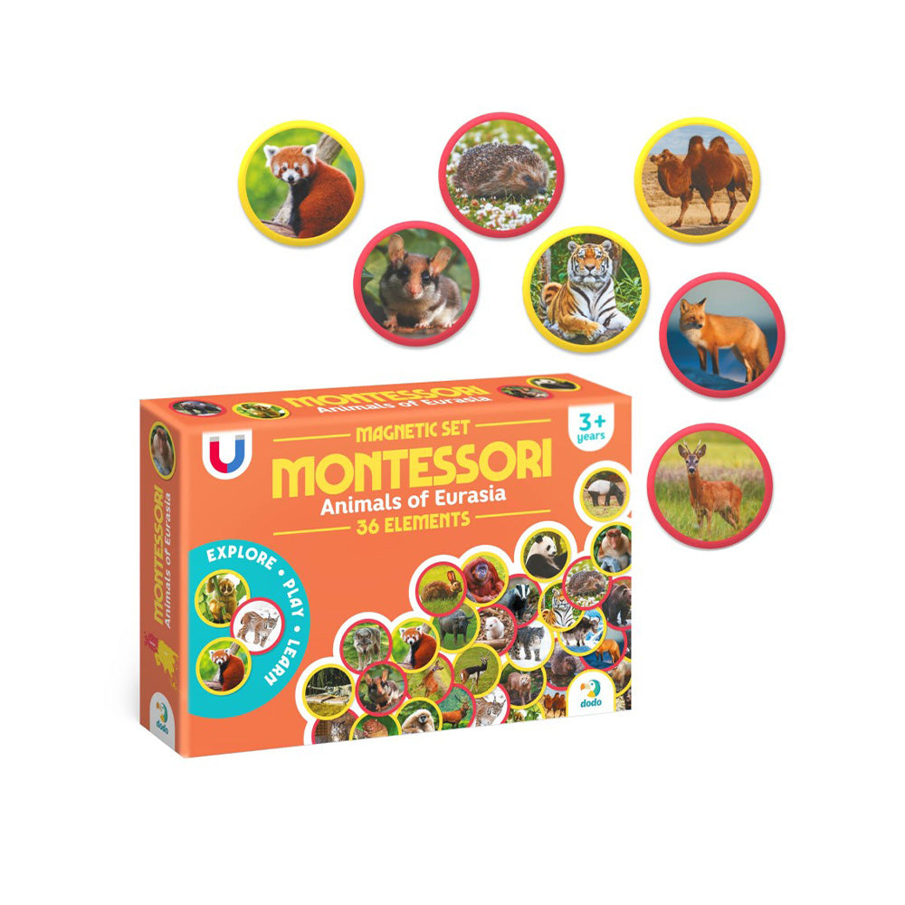 Montessori Magnetic Set Ζώα της Ευρασίας 36 Τεμ