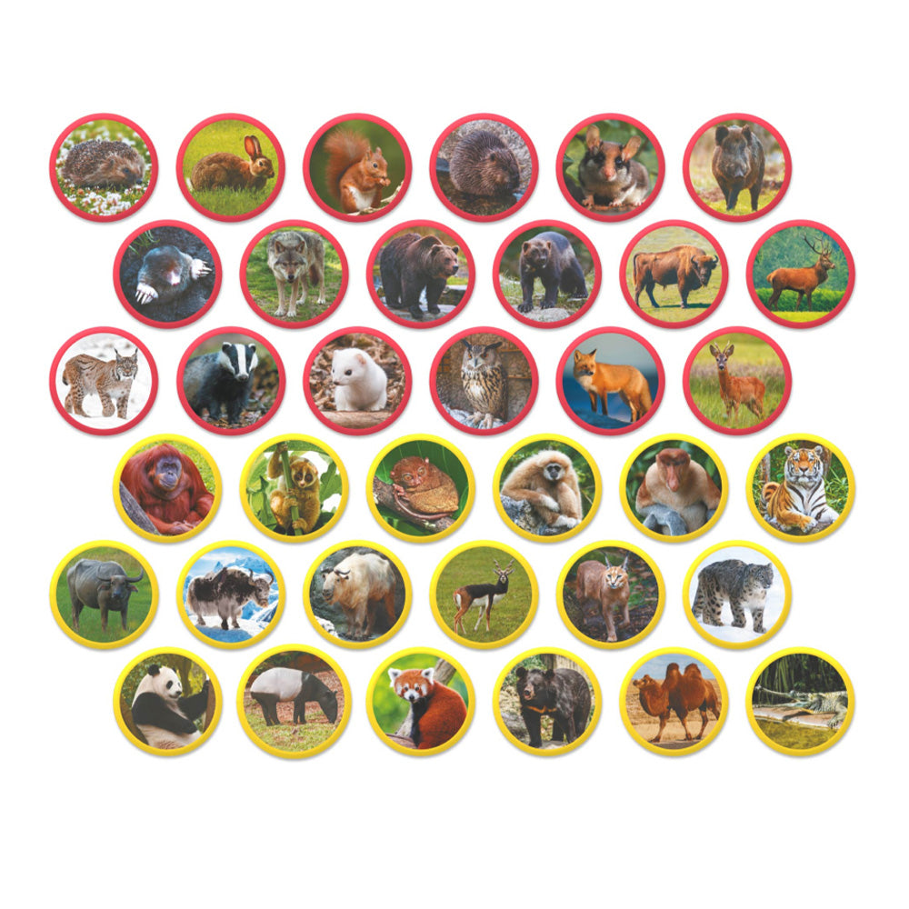 Montessori Magnetic Set Ζώα της Ευρασίας 36 Τεμ