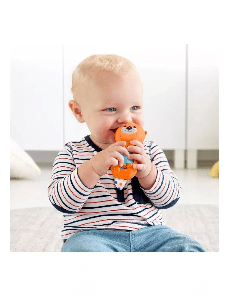 FISHER PRICEFisher Price  Ζωακια Κουδουνιστρα - Βιδραpapell.gr