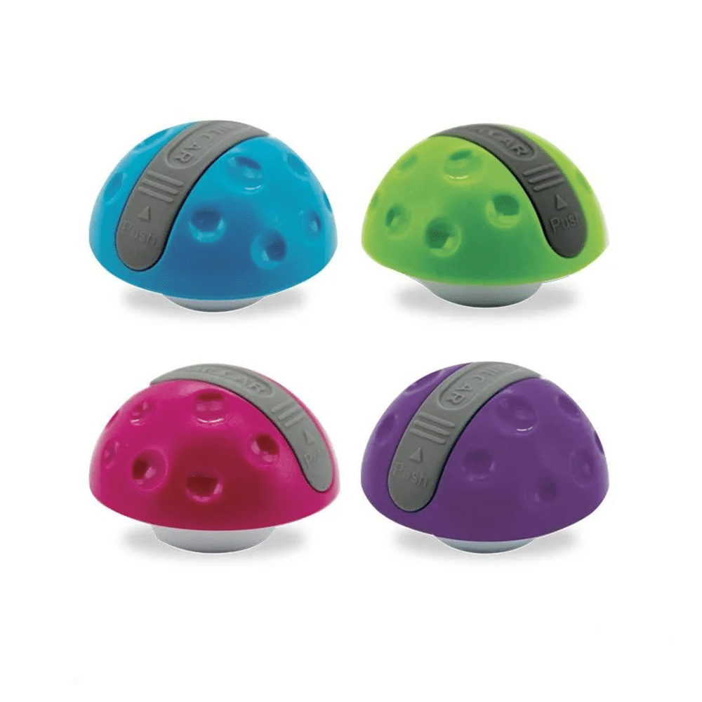 Octopus Ξυστρα Mushroom