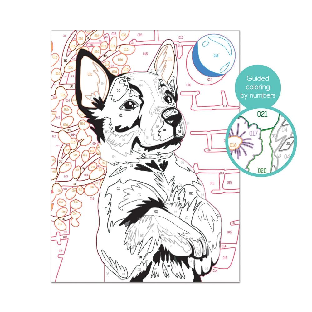 Paint & Frame Ζωγραφίζω Με Αριθμούς Playful Husky
