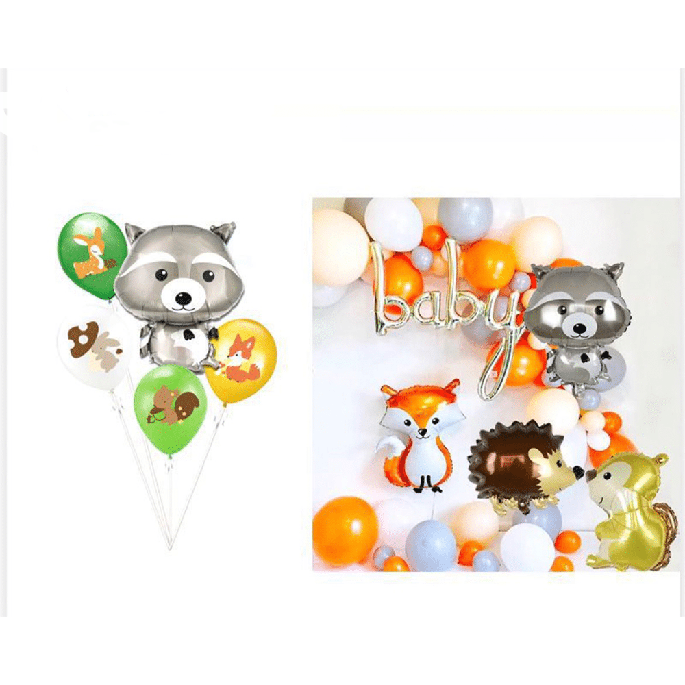 Σετ Μπαλονια Ρακουν 5Τμχ