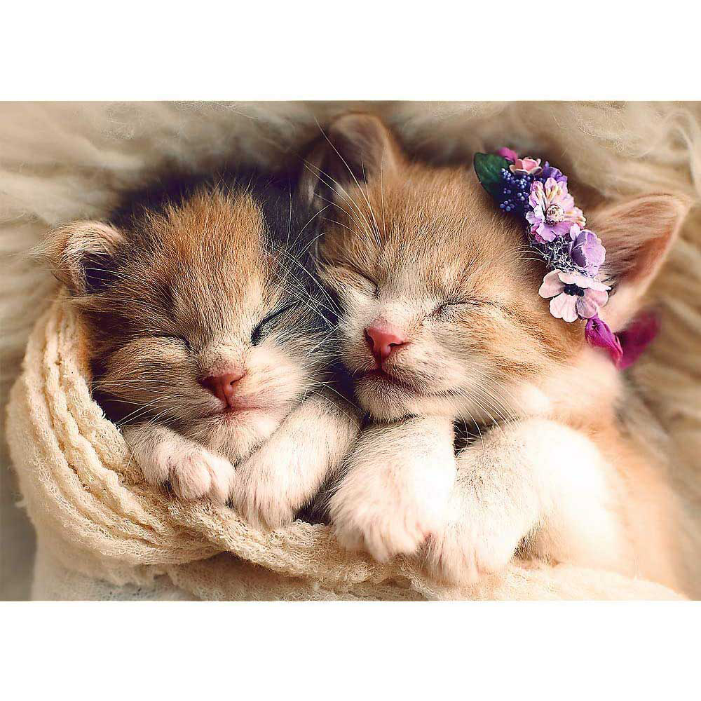 Trefl Puzzle Sleeping Kittens 500Τμχ