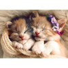 Trefl Puzzle Sleeping Kittens 500Τμχ