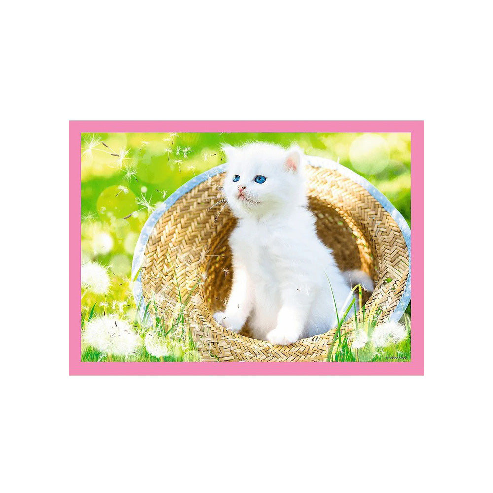 Trefl Puzzle 4 in 1  54/48/35/70 pcs Fun Cats