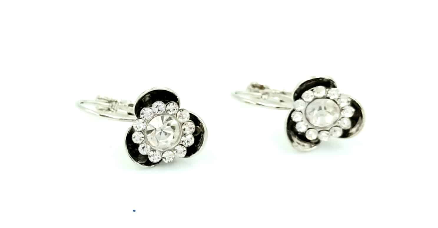 Σκουλαρικια Κρεμαστα Πετραδι Σε Λουλουδι