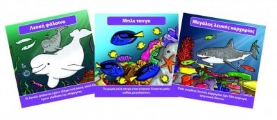 Brainbox Θαλασσιος Κοσμος Επιτραπεζιο Παιχνιδι