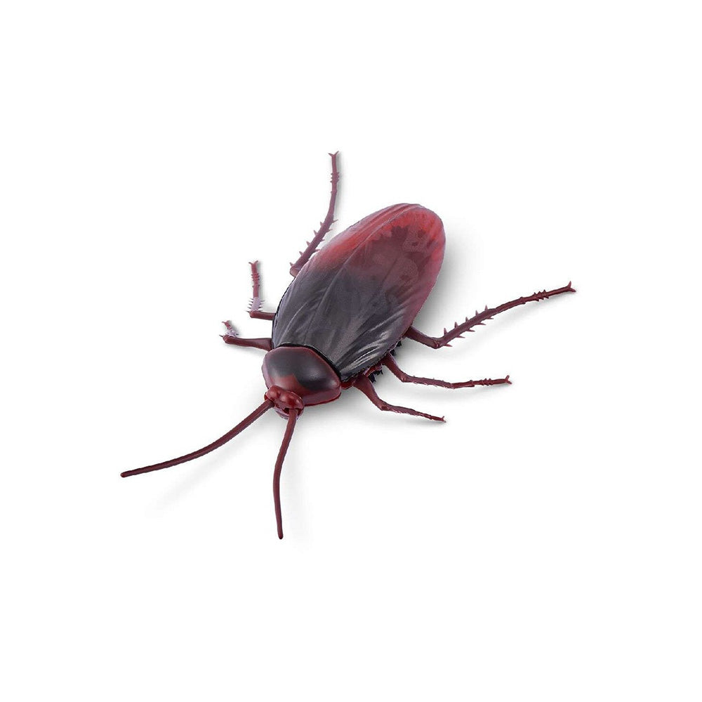 ZuruZuru Robo Alive Creepy Crawlies Ρομποτική Κατσαρίδα Που Φωσφορίζει Στο Σκοτάδιpapell.gr