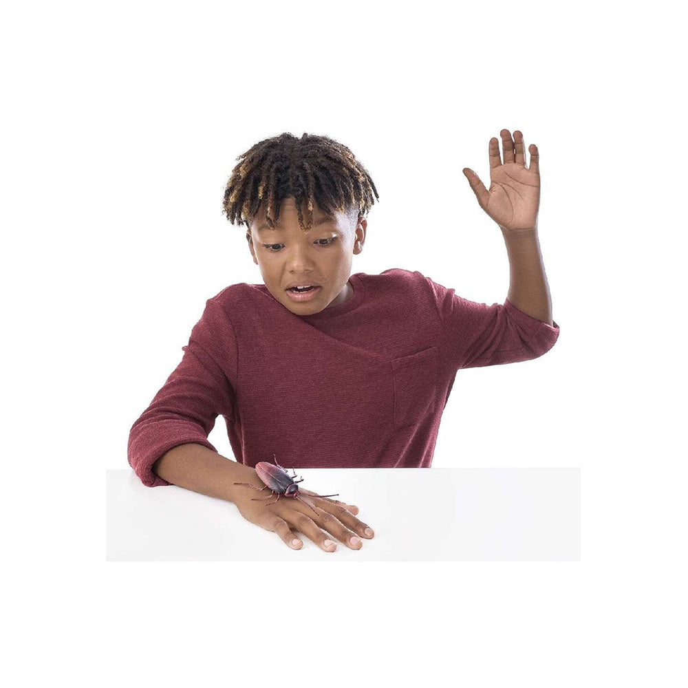 ZuruZuru Robo Alive Creepy Crawlies Ρομποτική Κατσαρίδα Που Φωσφορίζει Στο Σκοτάδιpapell.gr